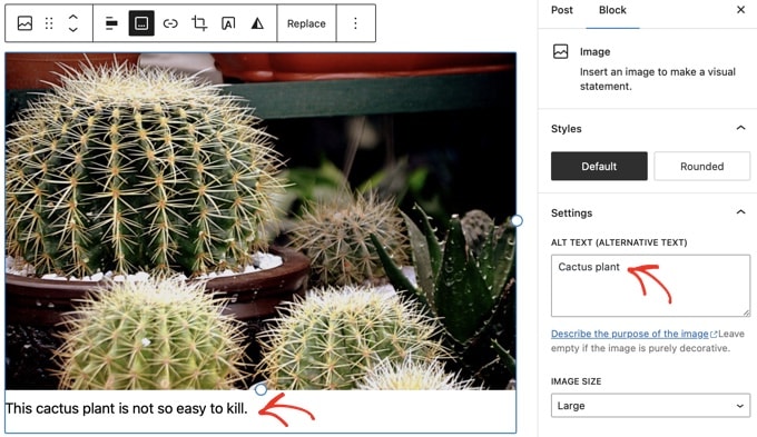 Adding alt text and caption to an image in WordPress
