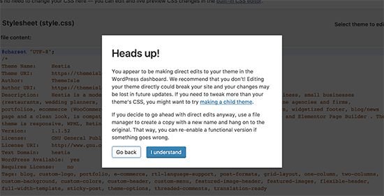 Theme editor warning in WordPress