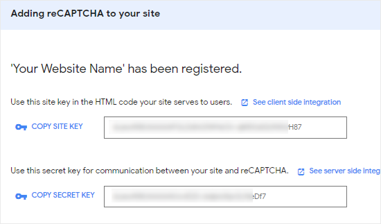 reCAPTCHA WordPress - Successful Registation