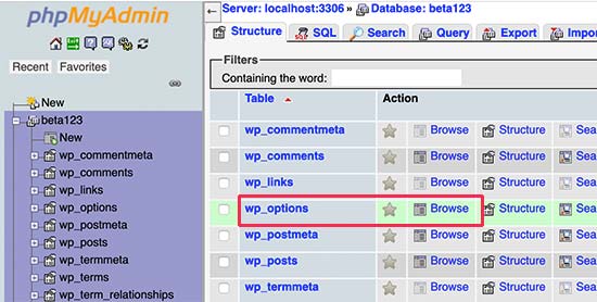 WordPress options table