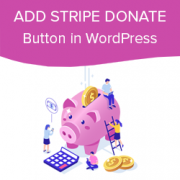 How to Add a Stripe Donate Button in WordPress
