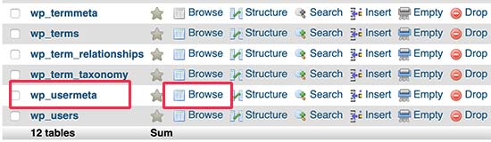 Browsing wp_usermeta table