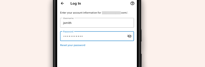 Enter login credentials