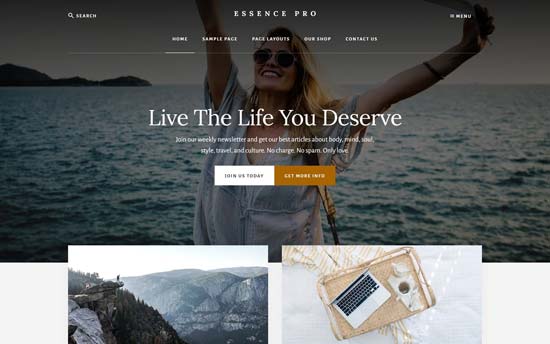 best elementor themes 2020 - Essence Pro best elementor themes 2020 - Essence Pro