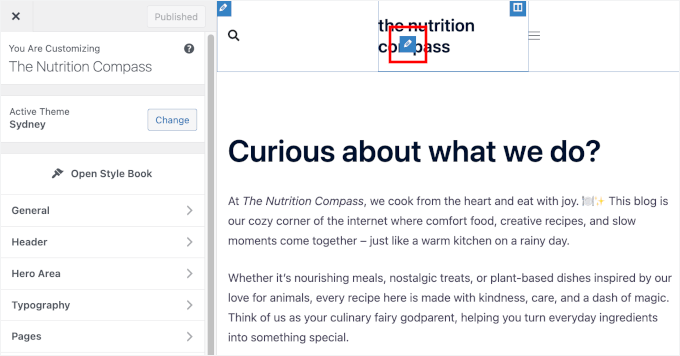 Personalizator temă WordPress Personalizator temă WordPress