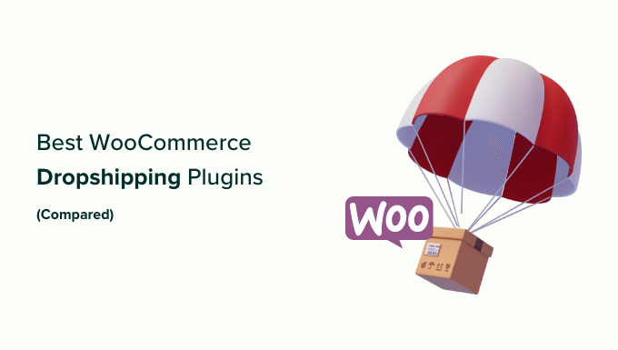 Comparing the best WooCommerce dropshipping plugins