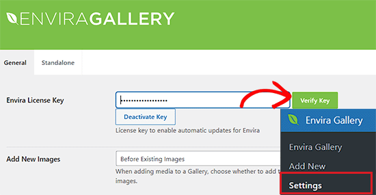 Add the Envira Gallery license key