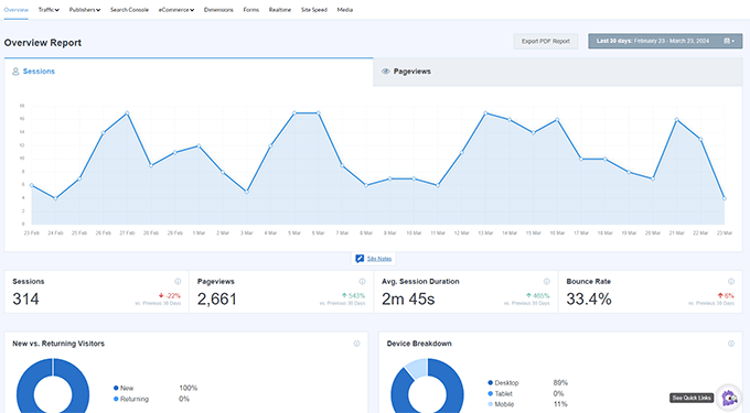 MonsterInsights reporting dashboard