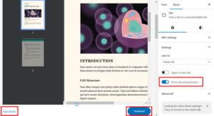 How to Embed PDF, Spreadsheet, and Others in WordPress Blog Posts