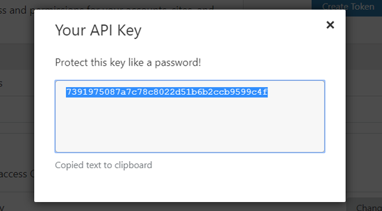 Copy Cloudflare API Key