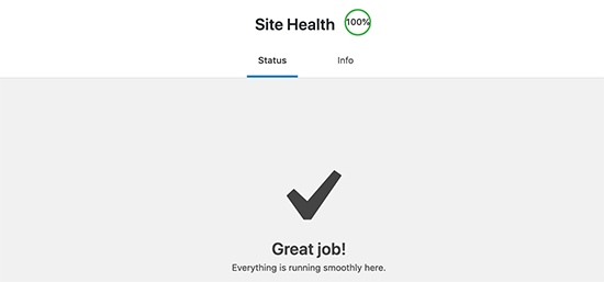 Getting a perfect score in WordPress site health