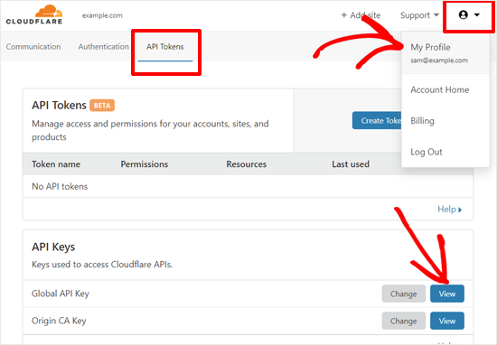 View Cloudflare API Key