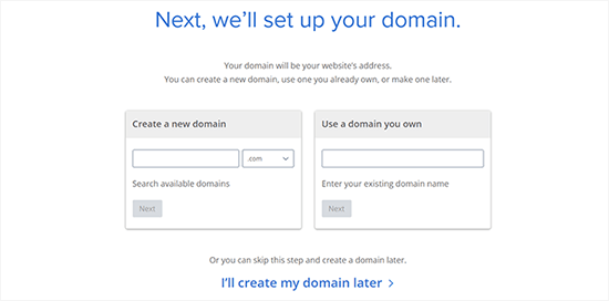 Bluehost choose domain names