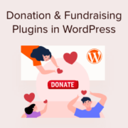 Best donation and fundraising WordPress plugins