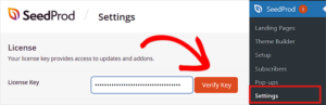 How to Add Dynamic Content in WordPress (Beginner's Guide)