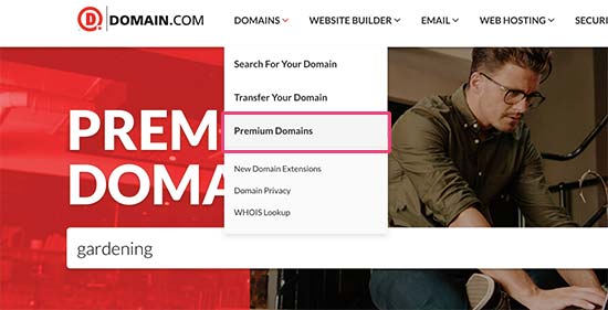 Premium domain search