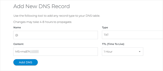 Adding DNS record
