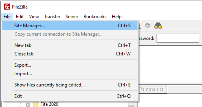 Go to site manager in FTP client