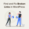 How to Find and Fix Broken Links in WordPress (Step by Step)