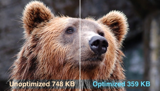 WebHostingExhibit optimizeimagesunoptimizedvsoptimized How to Optimize Images for Web Performance without Losing Quality  
