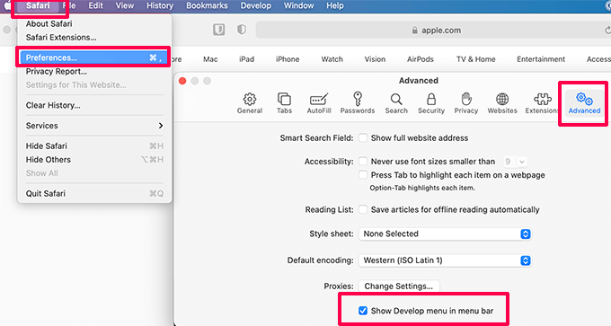 Safari show Develop menu