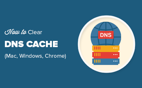 Easily clear DNS cache in macOS, Windows, and Chrome