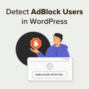 How to detect and stop AdBlock in WordPress