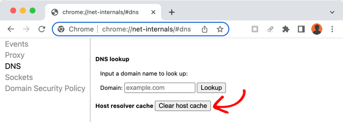 Clearing the Chrome DNS Cache