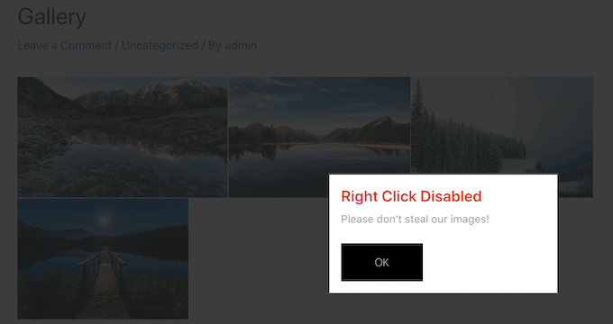 How to disable right-click for a WordPress gallery