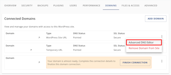 Opening advanced DNS editor
