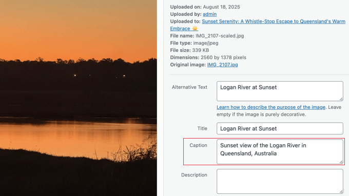 Adding a Caption in the WordPress Media Library