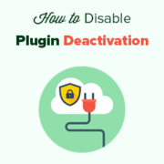 How to Prevent Clients from Deactivating WordPress Plugins
