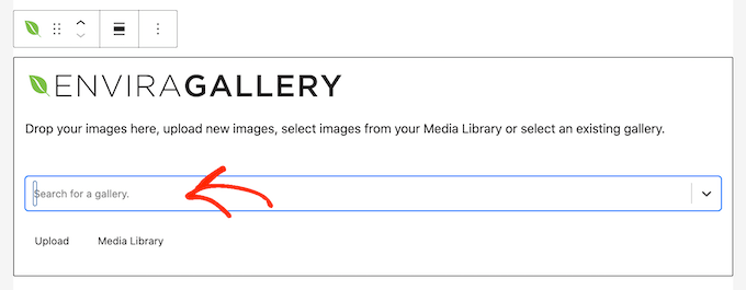 Publishing an image gallery to your website or blog