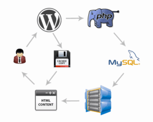 Guide de configuration WP Rocket : Comment installer et configurer pour ...
