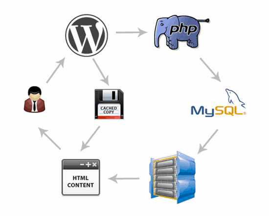 WordPress caching