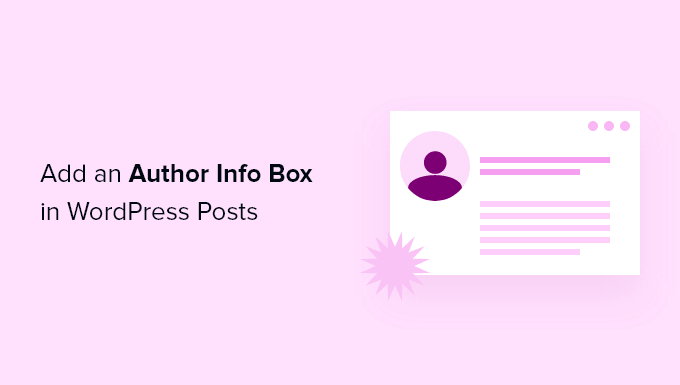 How to add an author info box in WordPress posts (4 ways)