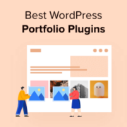 Best WordPress portfolio plugins for designers and photographers