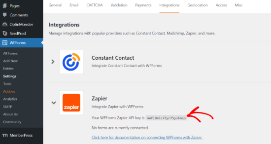 Copy Zapier API key