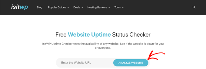 IsItWP Uptime Checker Tool