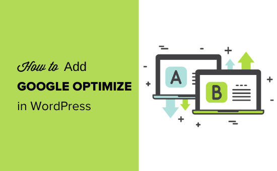 How to add Google Optimize in WordPress