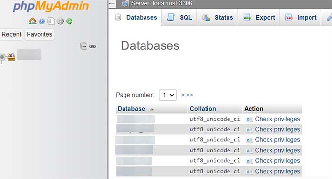 Connect PHPMyAdmin with your database