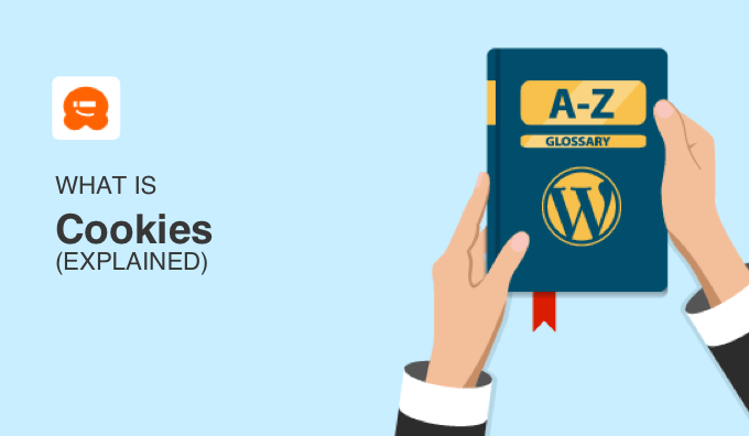 What Is Cookies in WordPress?