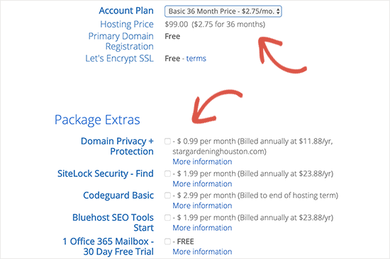 Hosting checkout for starting a blog