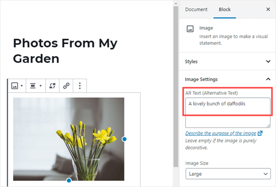 Image Alt Text vs Image Title in WordPress - What&amp;#39;s the Difference?
