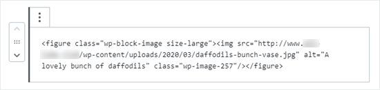 Le code HTML de l'image