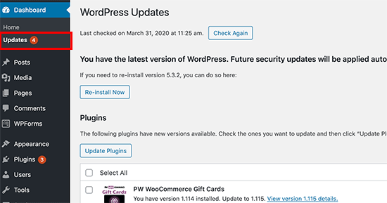 WordPress updates