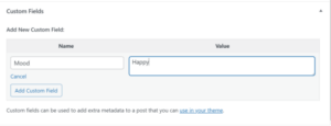 What Are Custom Fields in WordPress?