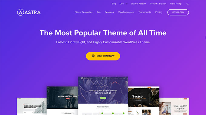 Astra WordPress theme