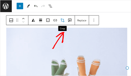 Clicking the Crop button in the Image Block Toolbar
