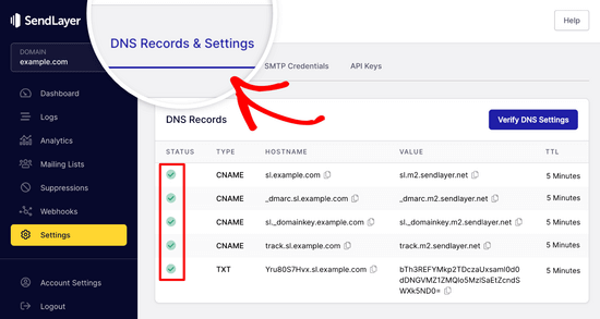 SendLayer DNS TXT 记录经过验证后